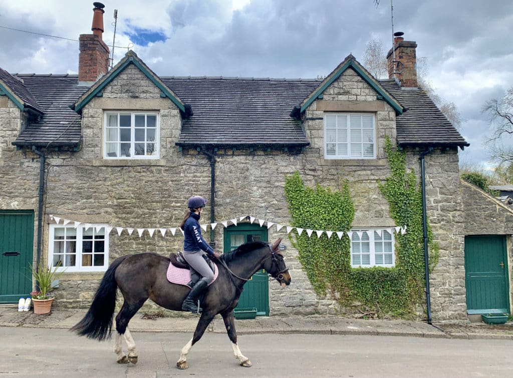 Horse and Limestone house, Tissington