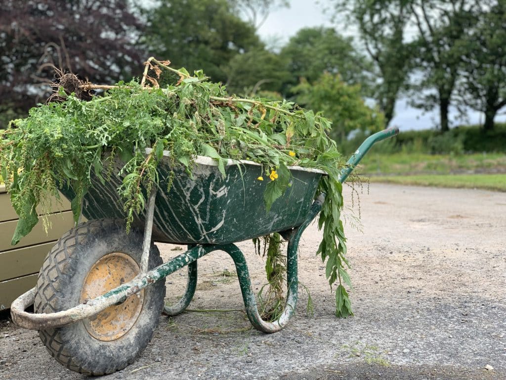 Wheel barrow in teh walled garden