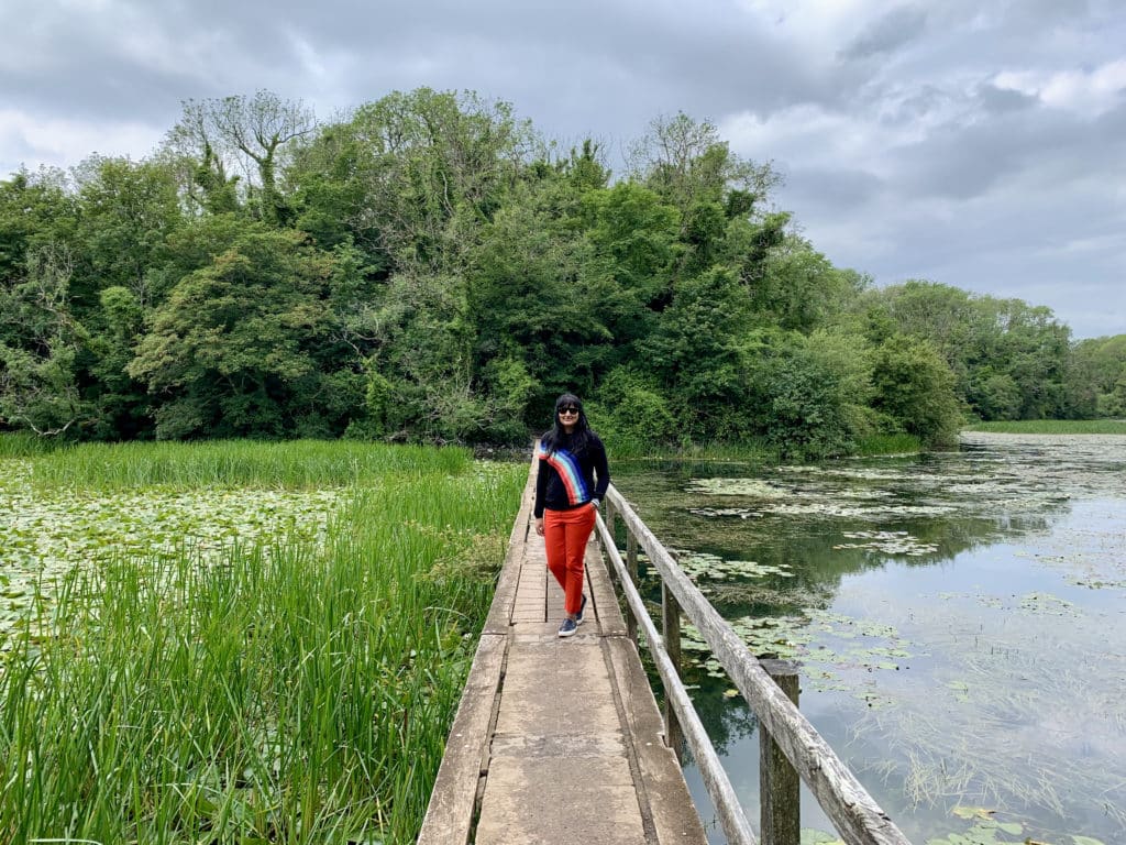 Bosherton Lily Ponds, Pembrokeshire