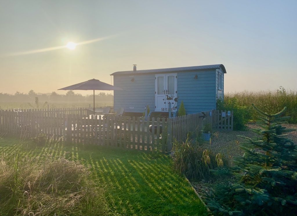 Shepherd's hut in the early morning surrounded by a wooden gate and grass at Willowfen Retreat, Norfolk