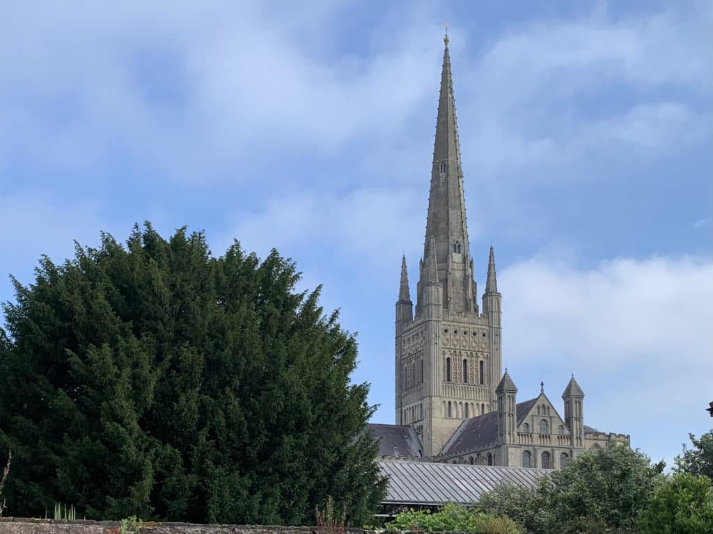 The spire of Norwich Cathedral with a tree beside it and the bright blue sky behind