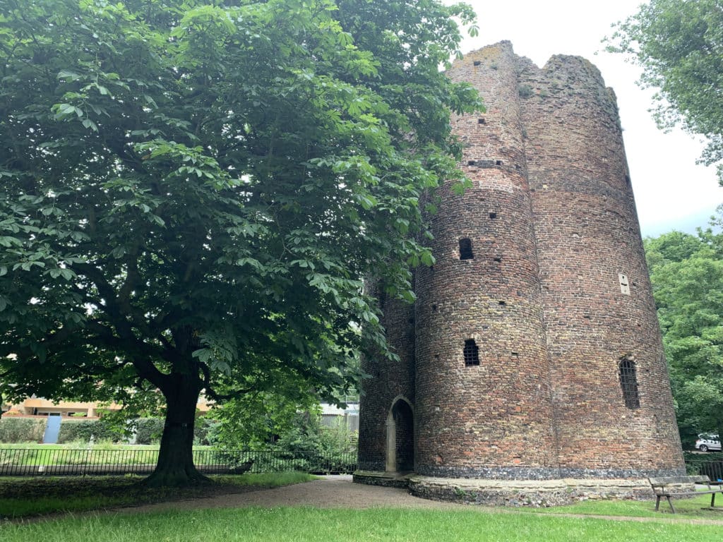 The Cow Tower stone structure standing at the banks of the River Wensum with a large tree covering the top portion, in Norwich