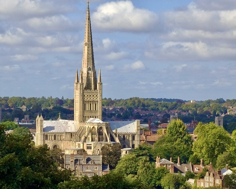 A view of Norwich Cathedral's Spire from Mousehold Hill, in Norwich. There are trees and houses surrounding the Cathedral.