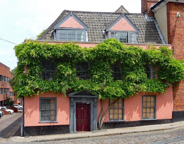 The peach double faced house with foliage on potter Gate in Norwich