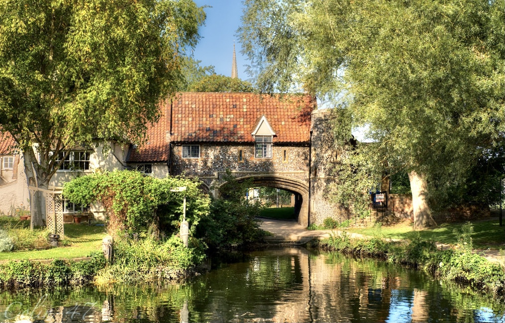 Pull's Ferry with the River Wensum running through in Norwich. There are trees and overgrown grass at either side.