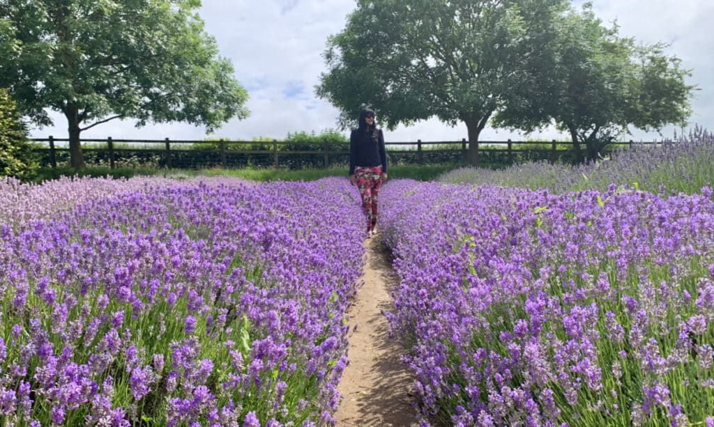 Bejal wearing pink and white floral trousers and a pink long sleeve t-shirt walking through a path with lavender flowers at each side at Norfolk Lavender