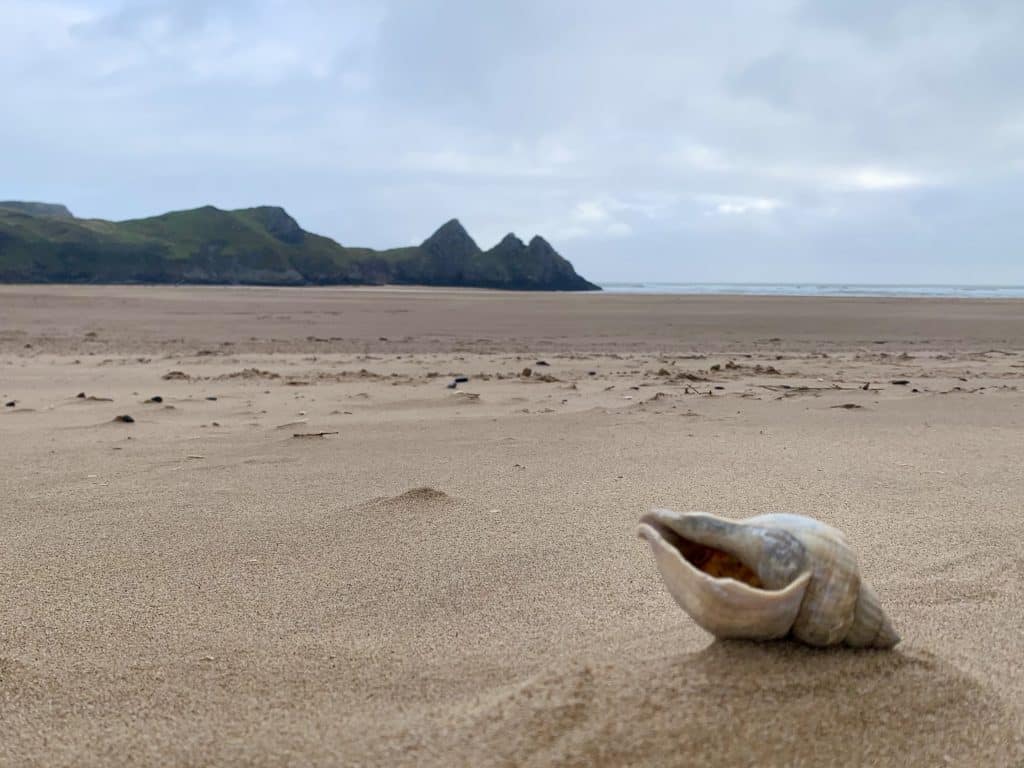 Swansea Bay,Three Cliffs Bay
