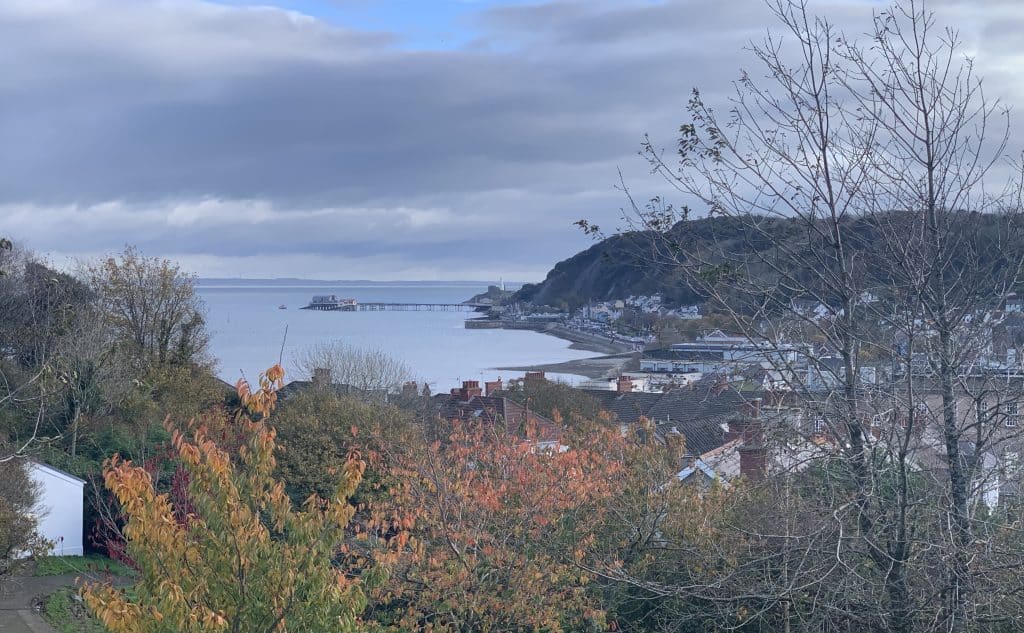 View from Oystermouth Castle