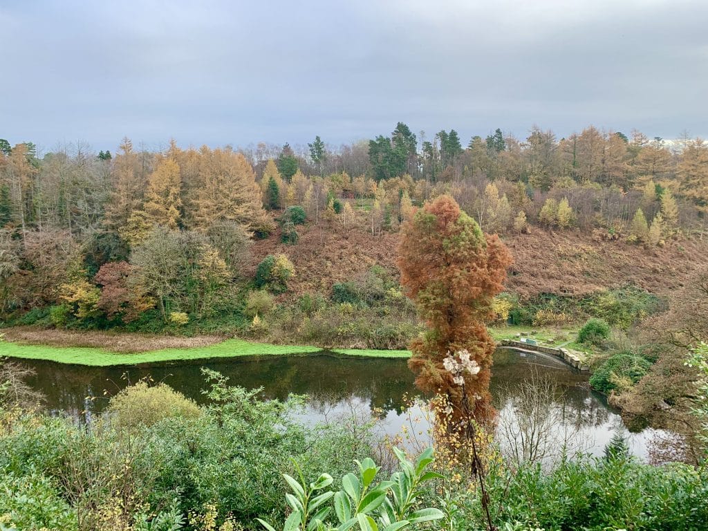 Pennlegare Valley Woods