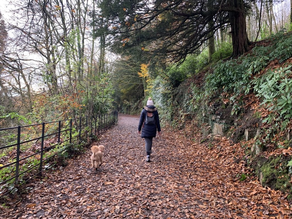 Swansea Bay, Pennlegare