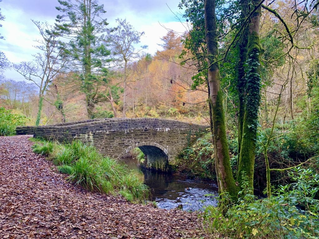 Swansea Bay, Pennlegare