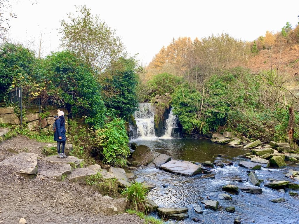 Swansea Bay, Pennlegare