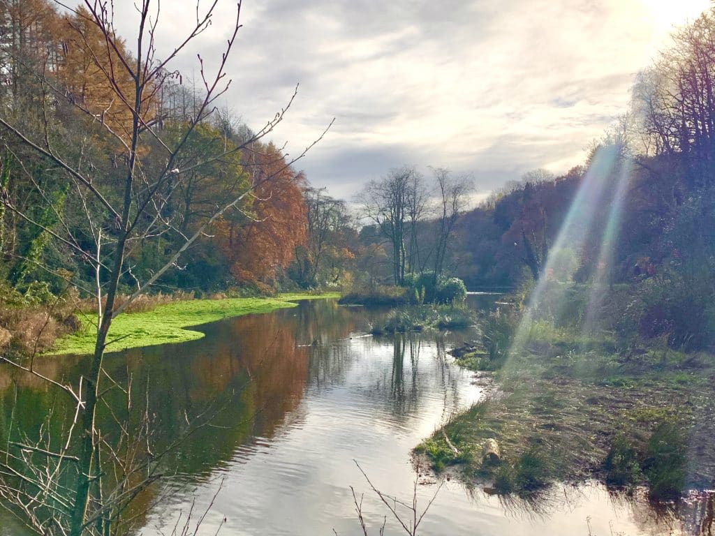 Swansea Bay, Pennlegare Valley Woods