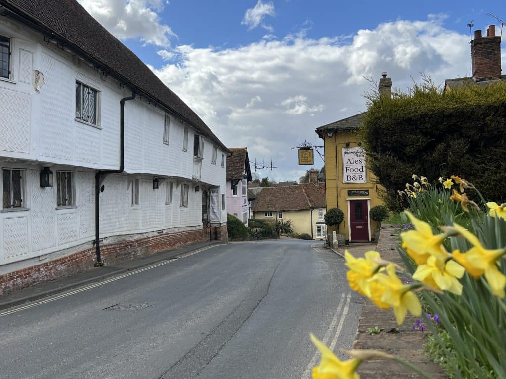 The Finchingfield Lion