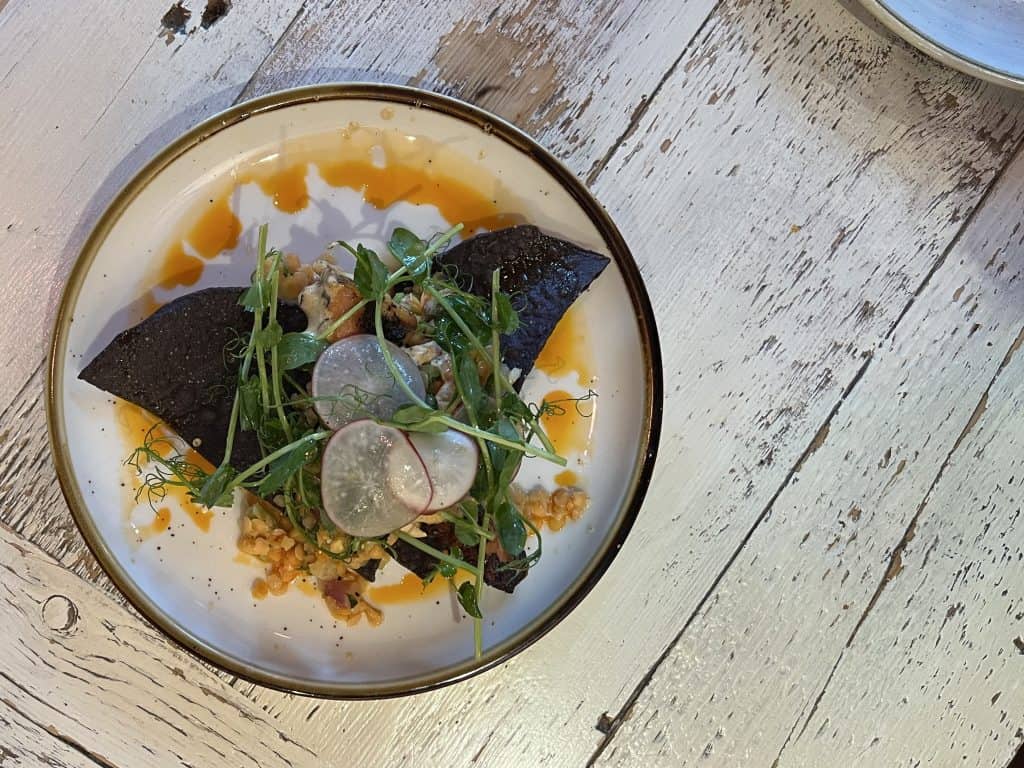 The best Vegetarian Food in Boston: Avocado salad, Citrus & Salt