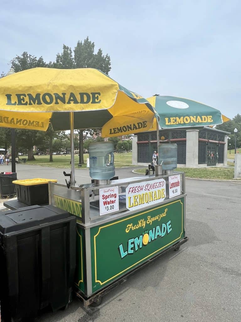 The best Vegetarian Food in Boston: Lemonade stand in Boston Common