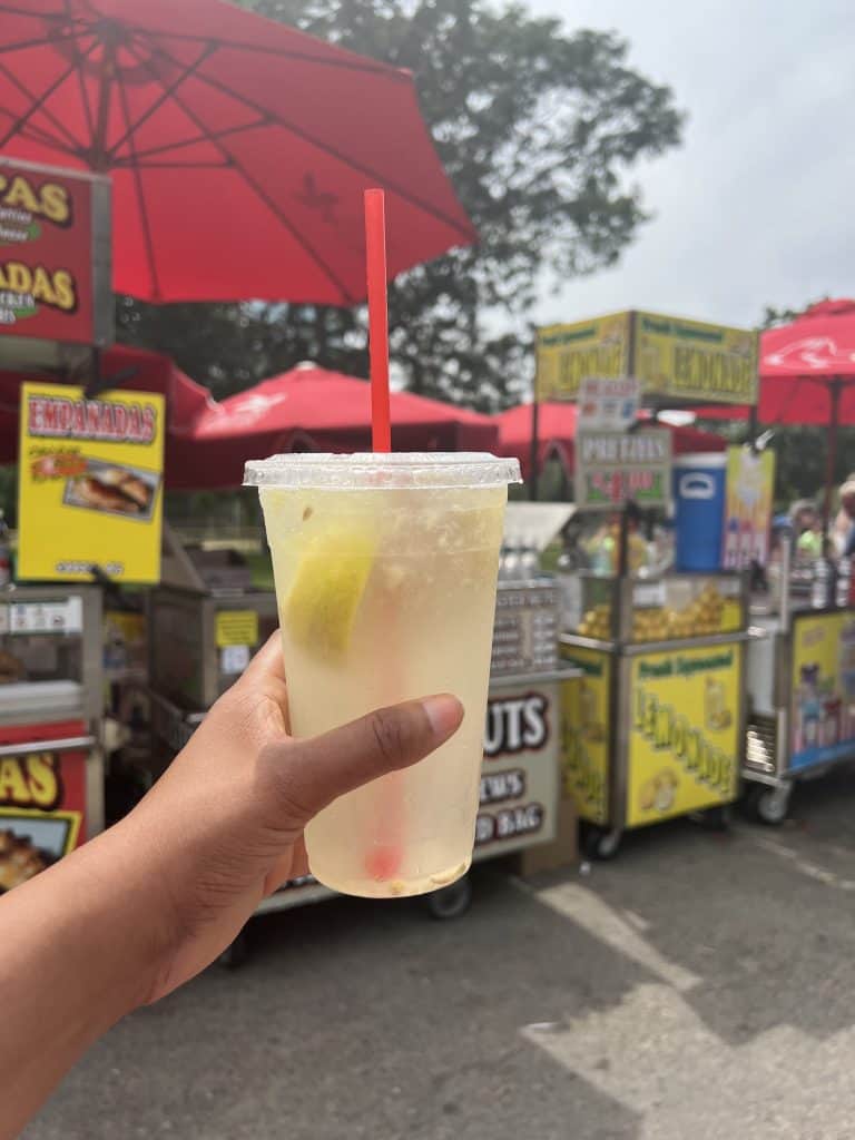 The best Vegetarian Food in Boston: Lemonade in Boston Common