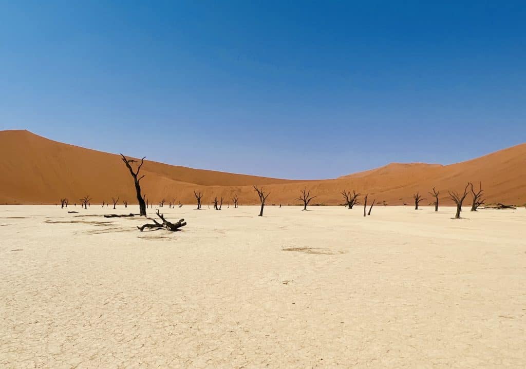 Deadvlei, Sossusvlei
