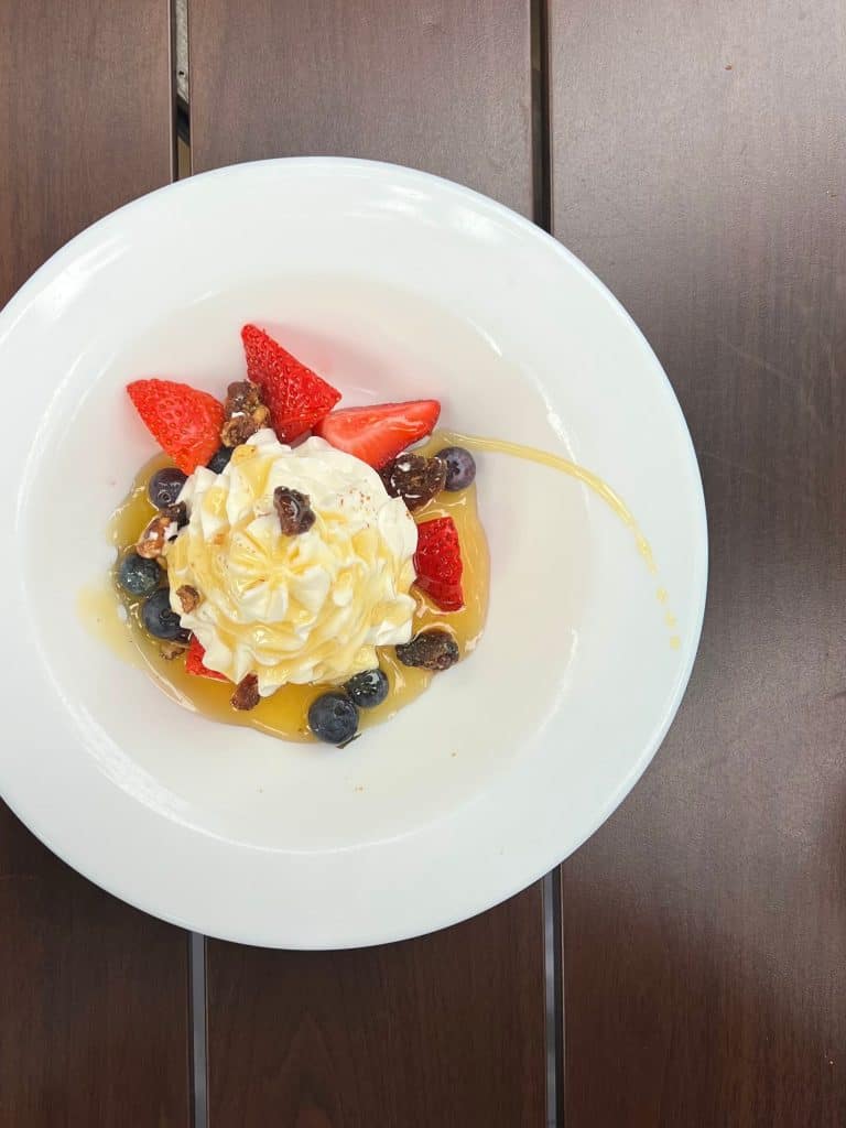 Vegetarian food in Boston, Kava Neo taverna, small plates greek yoghurt dessert