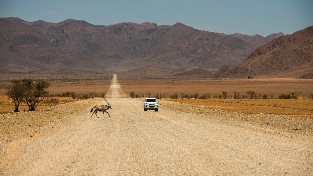 Seff-drive Namibia Car with Oryx crossing in desert