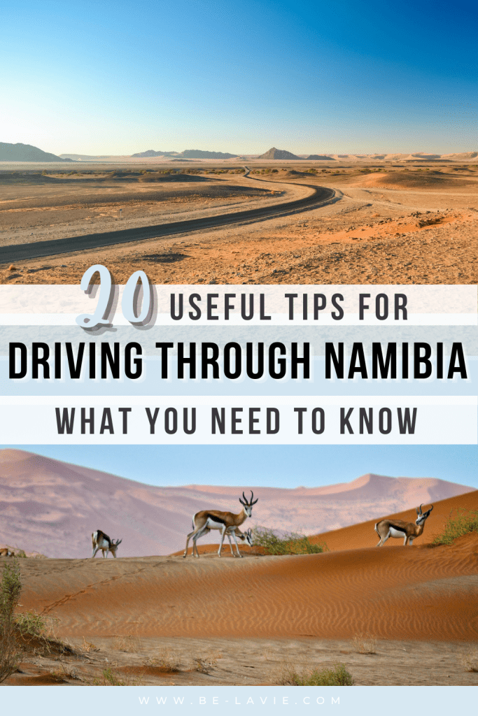 Driving in Namibia Pinterest Pin