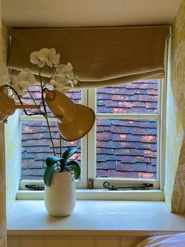 The Falstaff: Cosy Room window and orchid vase which is white. There are  beige Roman blinds and a view of a roof through the window. 