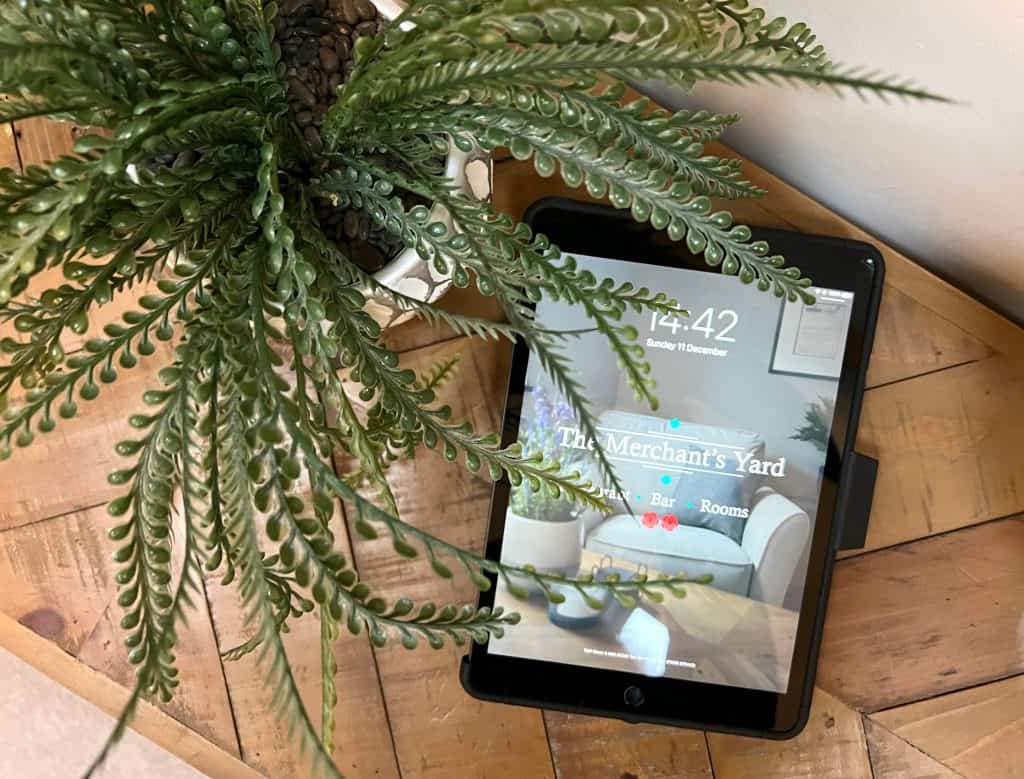 Plant with ipad in room