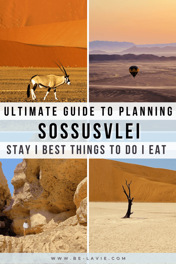 Sossusvlei Ultimate Guide Pinterest Pin