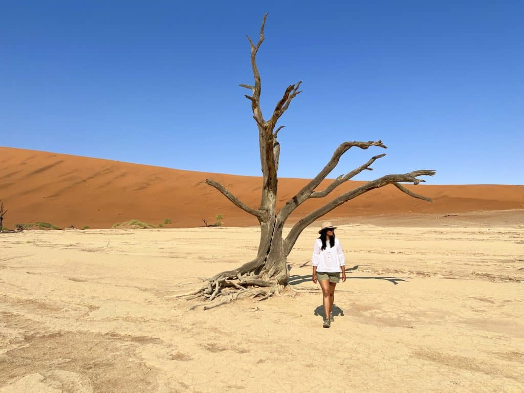 Best visit Sossusvlei: Bejal walking in front of tree at Deadvlei