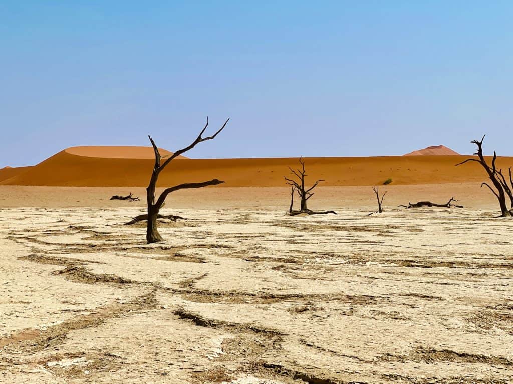 Best visit Sossusvlei: Deadvlei trees and landscape with cracked clay floor in pan