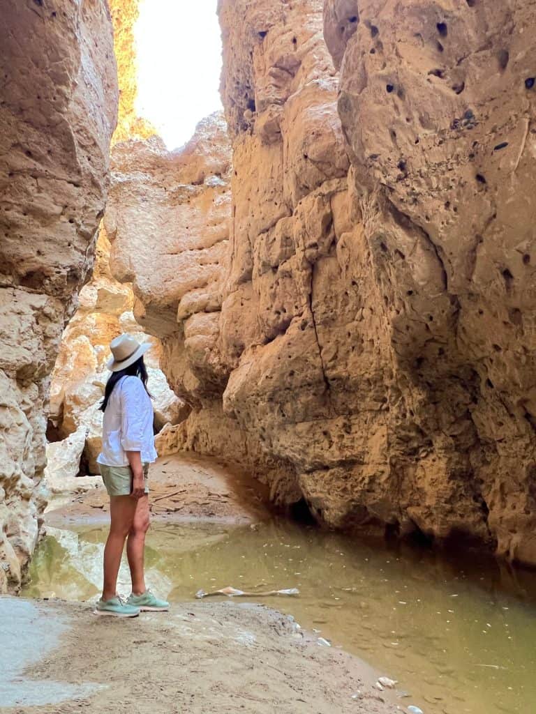 Sesriem Canyon with Bejal standing near water