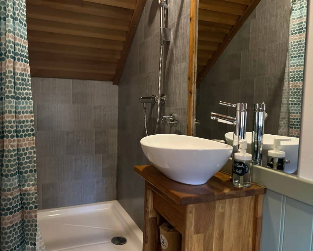Mallory Meadows Boutique Cabin Stay: Squirrel cabin bathroom basin and shower