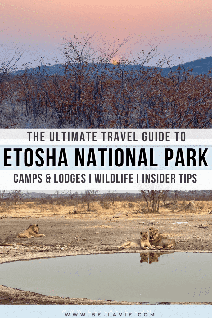 The best of Etosha National Park Pinterest Pins