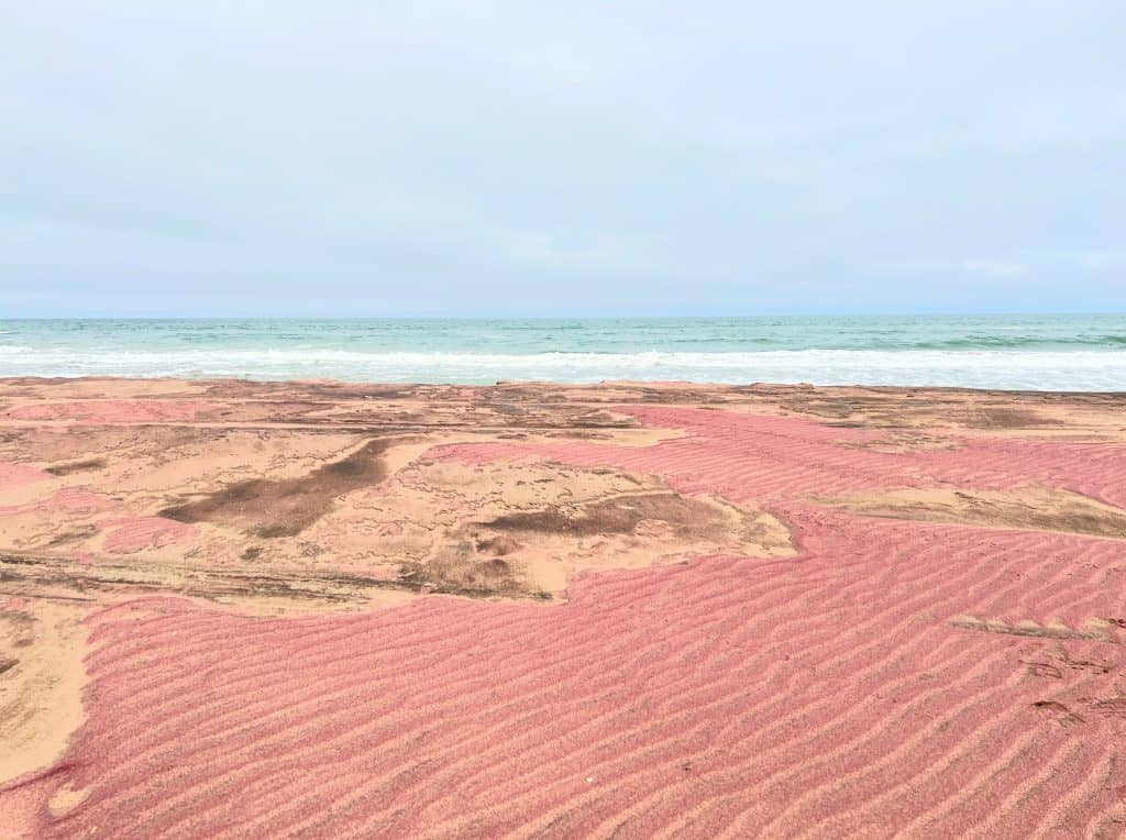 Pink Salt pans near Sandwich Harbour