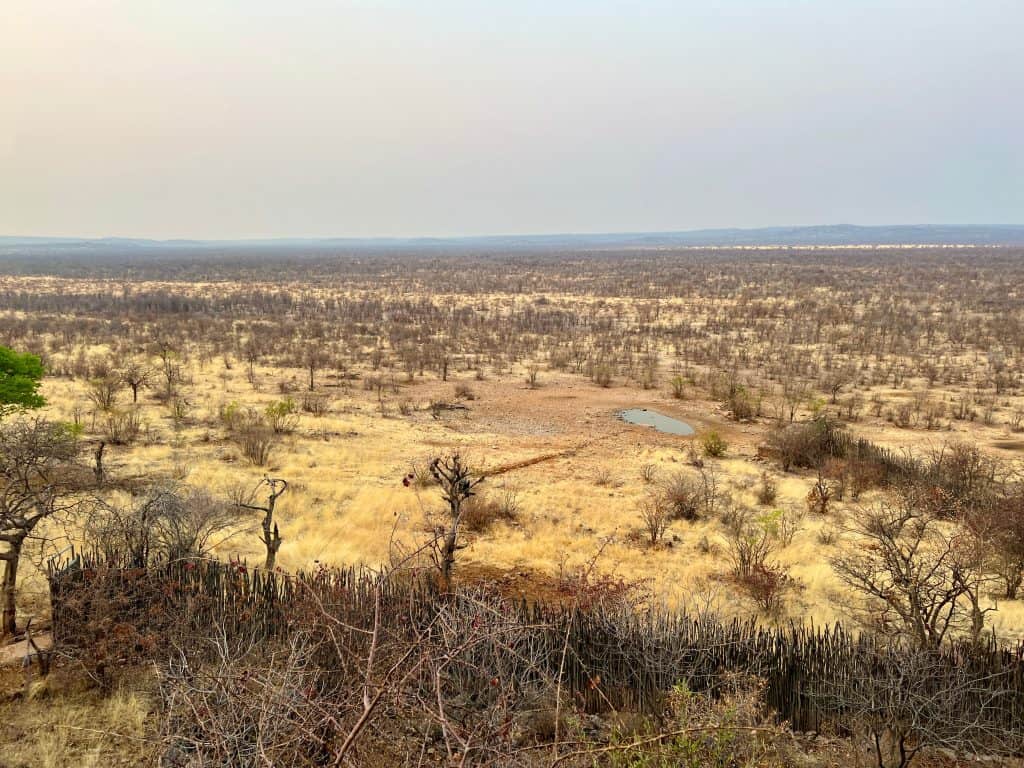 The best of Etosha National Park: Ongava Reserve