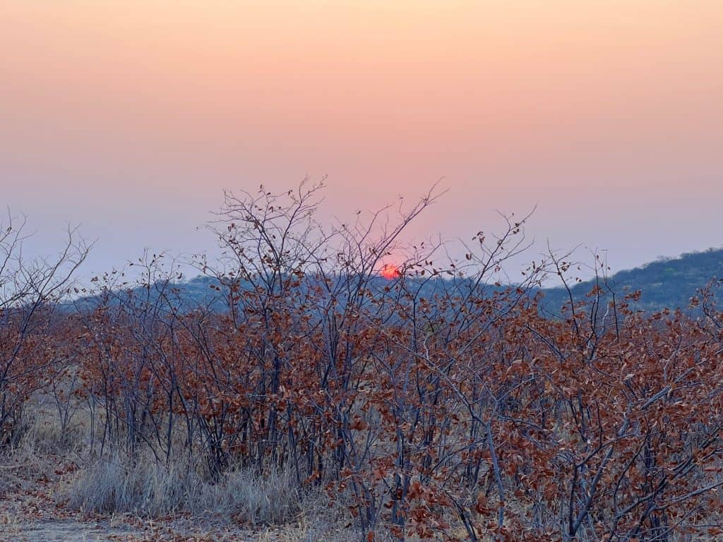 The best of Etosha National Park: Ongava reserve sunset