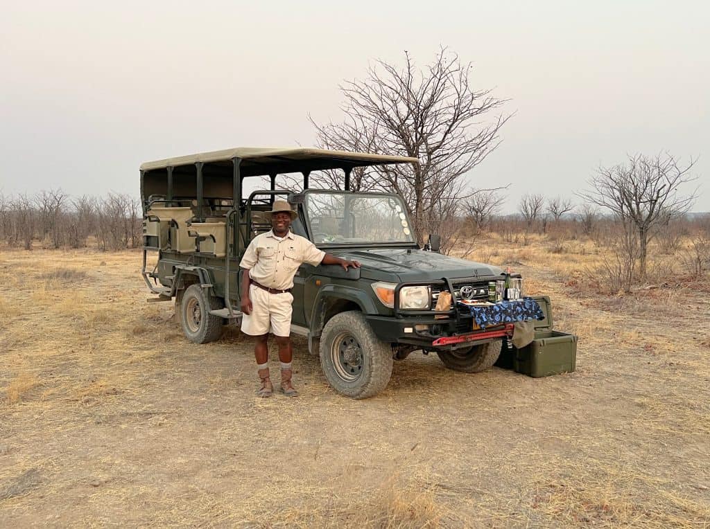 The best of Etosha National Park: Ongava Lodge game drive with guide
