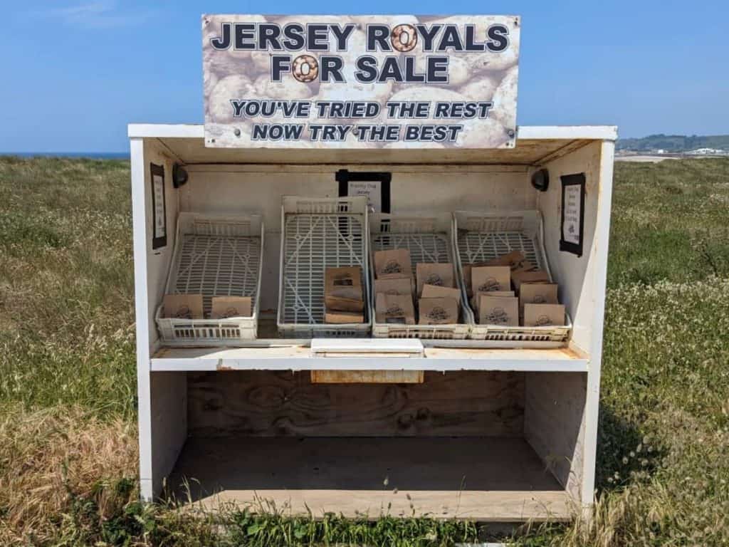 Jersey Royals honesty stand