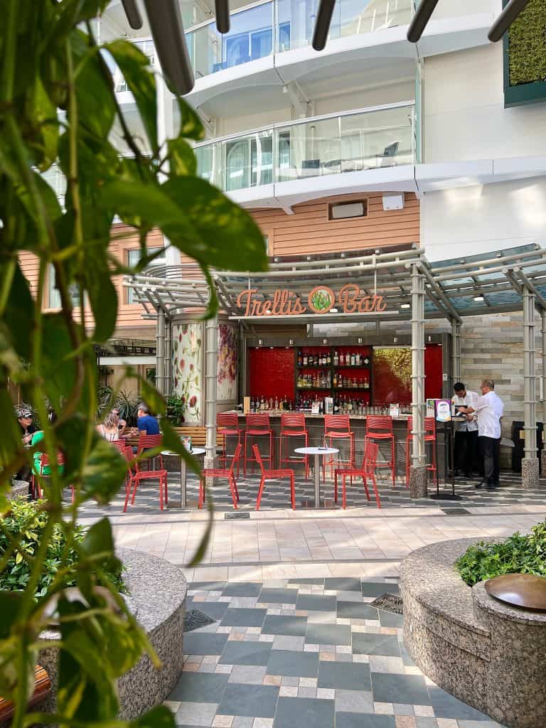 First-time cruise guide: Trellis Bar Exterior