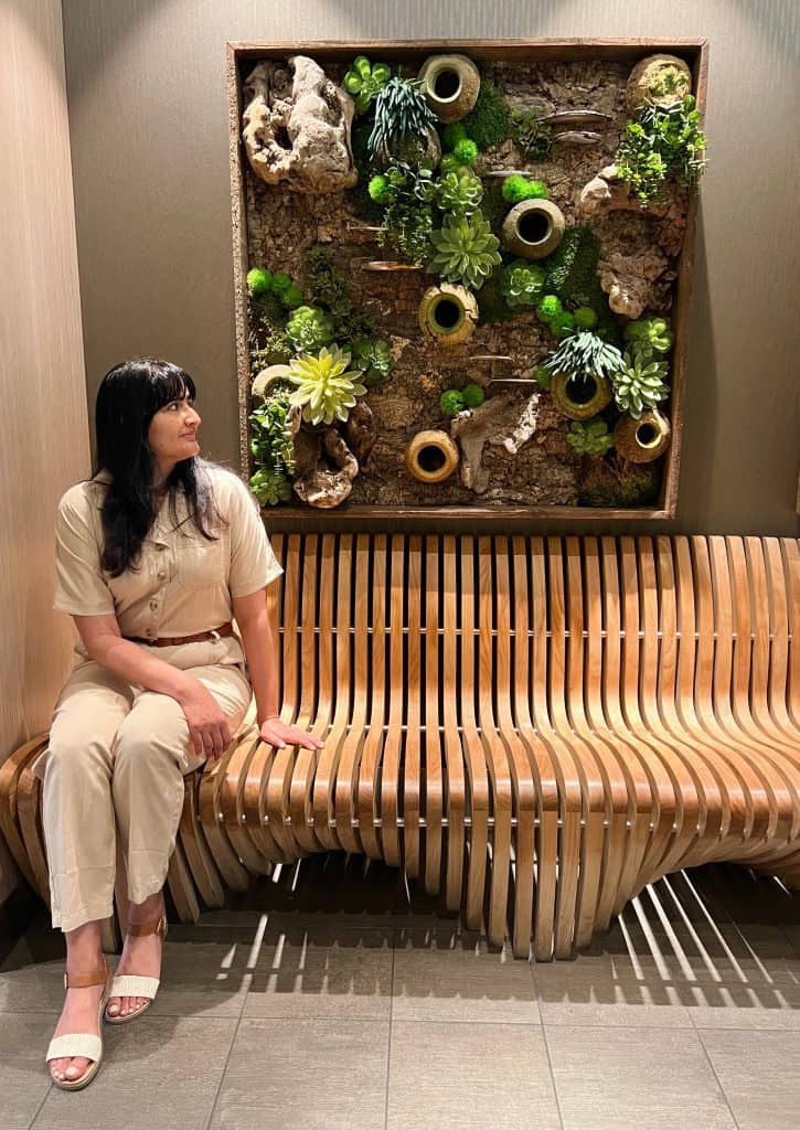 Succulent wall at The Solarium