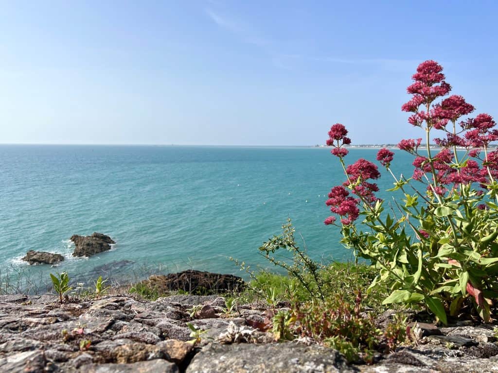 Views from Mont Orgeuil Castle