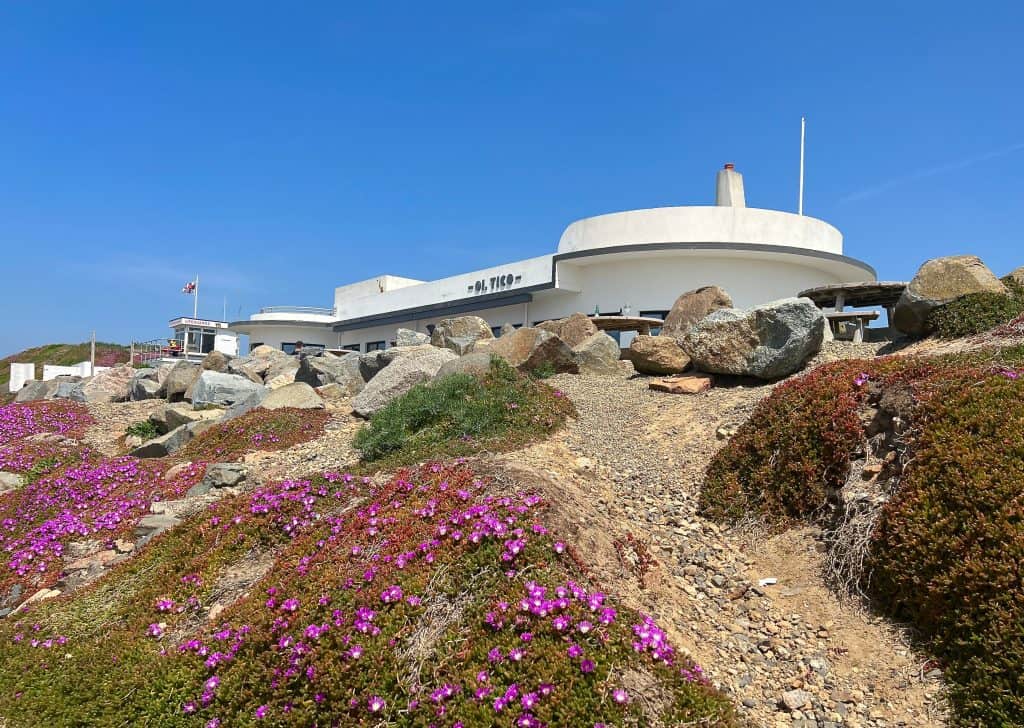 El Tico Restaurant art-decor exterior