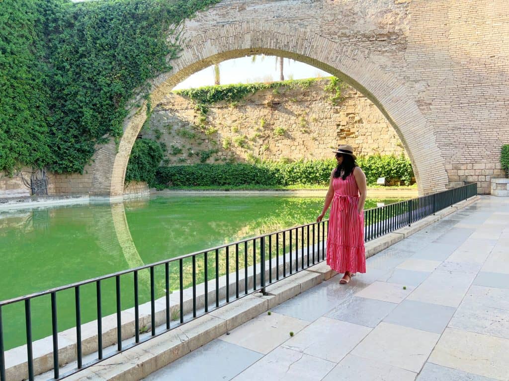 Bejal in Palma Cathedral gardens