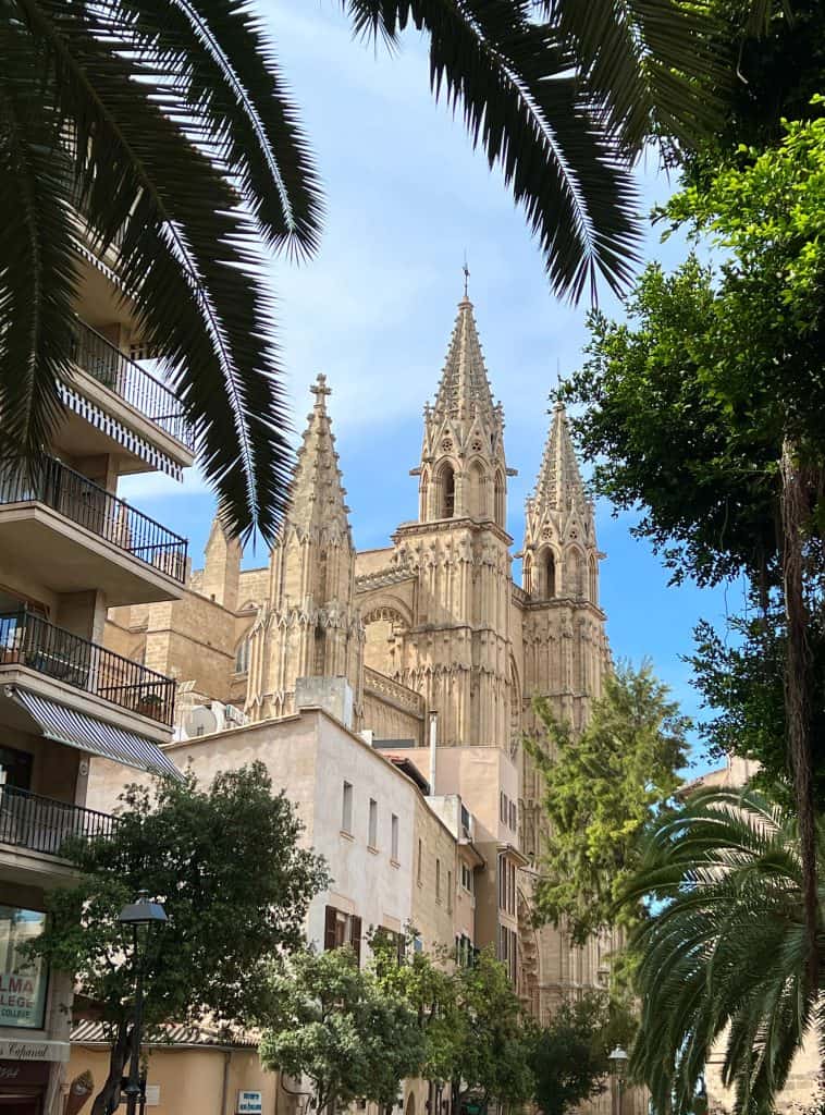 Palma de Mallorca Cathedral view framed with foliage