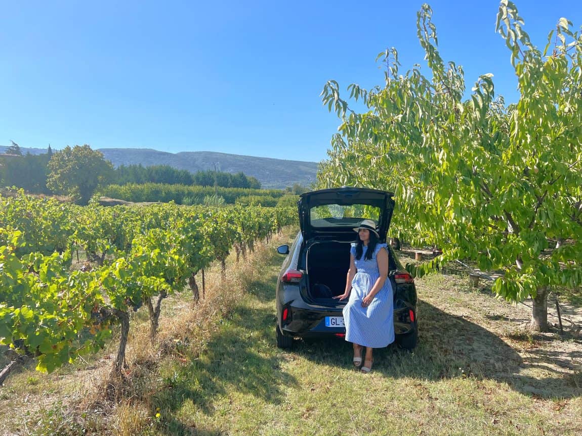 Bejal sitting in boot of Black Corsa parked in Vineyard near Bonnieux
