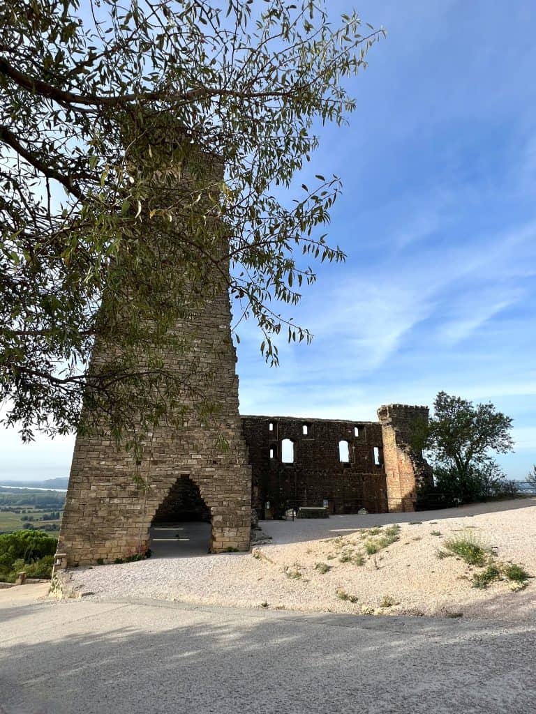 Châteauneuf-du-Pape castle back view