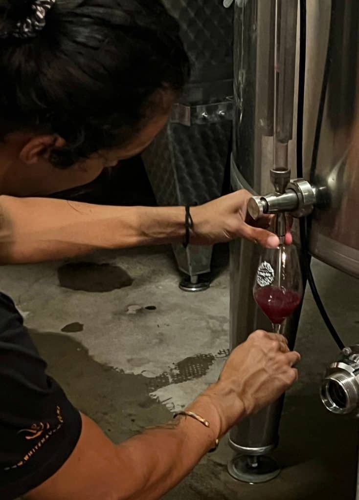 unfiltered red wine at Domaine de L'odylee