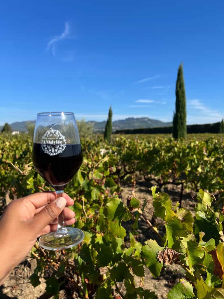 Glass of wine in vineyards at Domaine de L'odylee