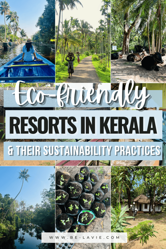 Eco-friendly hotels in Kerala Pinterest Pins