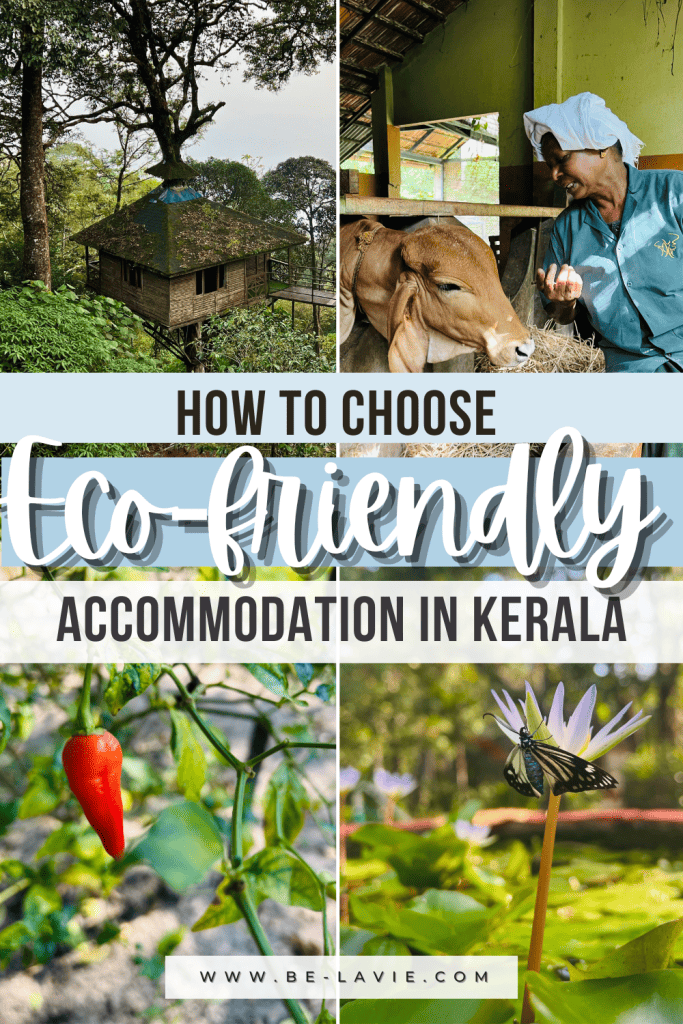 Eco-friendly hotels in Kerala Pinterest Pins